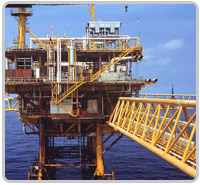 petroleum_services